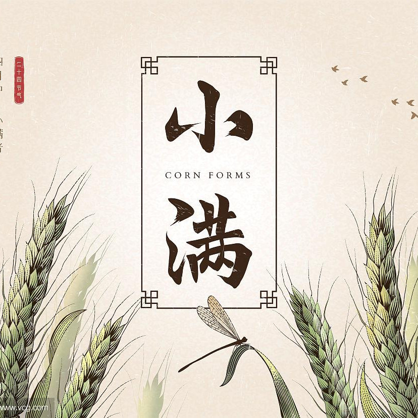 小满.jpg 小满.jpg